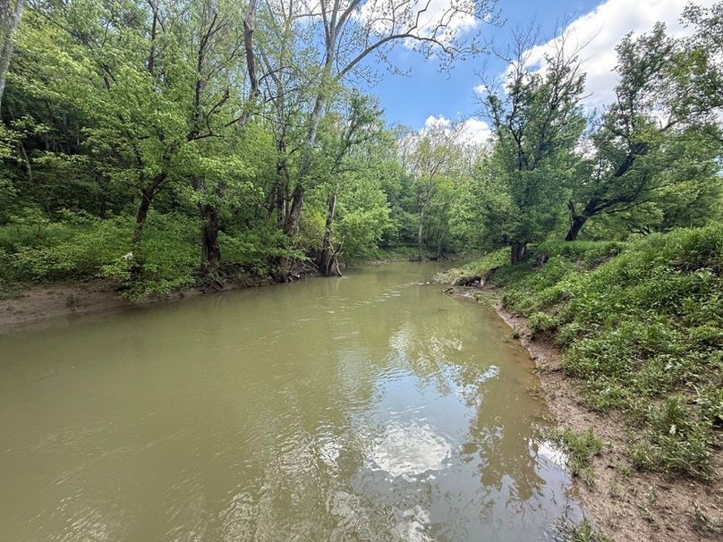 002 Hinkston Creek along the east boundary after a spring rain