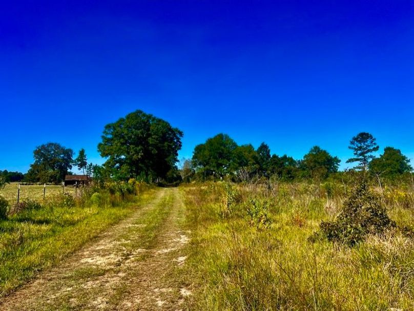 C7C9CD6F-985F-45D1-AE27-445187575E9B_1_105_c