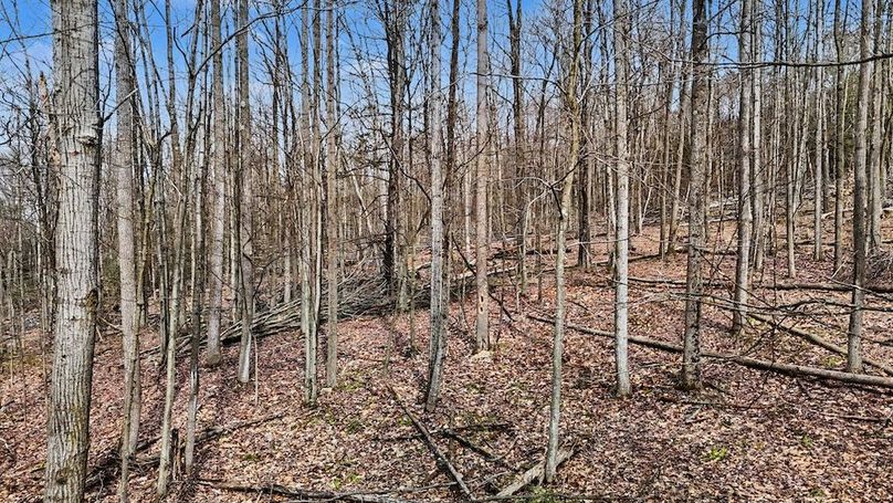 DJI_20260403152010_0065_D