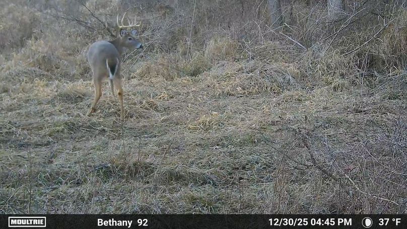 1520709-20260215161456-100MFCAM_MFDC3087