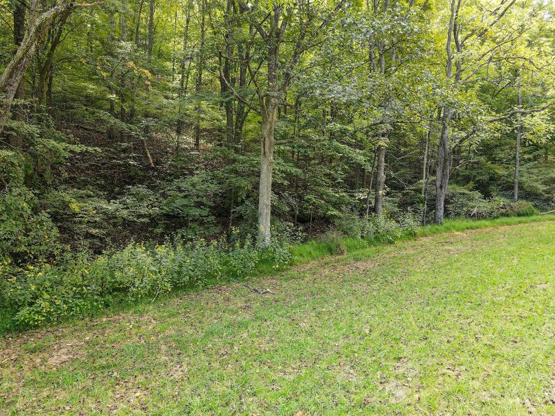 dji_fly_20240913_120024_815_1726243244803_photo