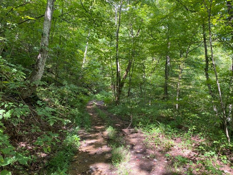 012 upper level trail leading near the west ridge