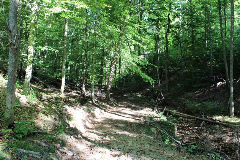 011 trail_road leading up the north valley 