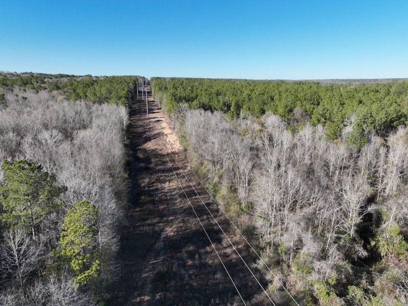 373A7895-6439-4EBA-A596-7FF51561A002_1_105_c