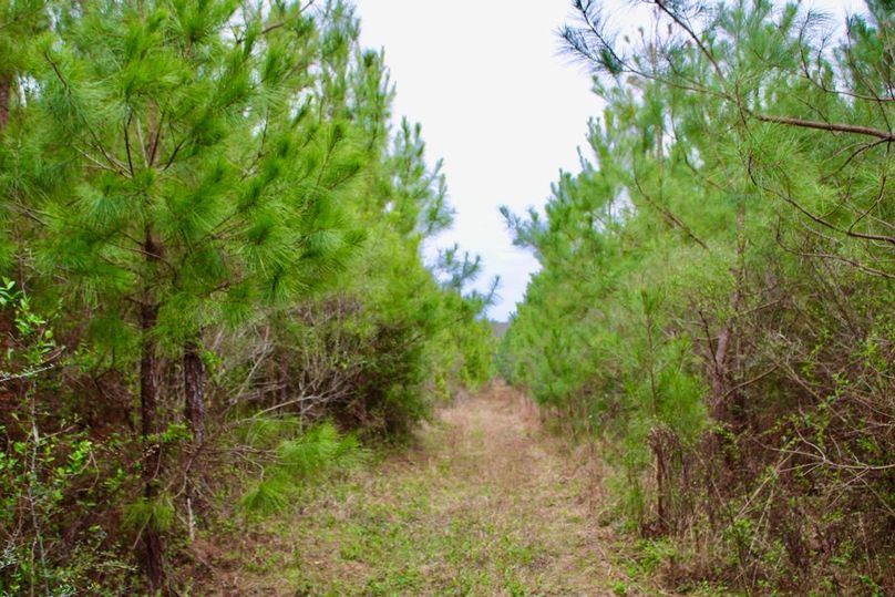 203F678B-BFF3-45D6-9474-32578B918790_1_105_c