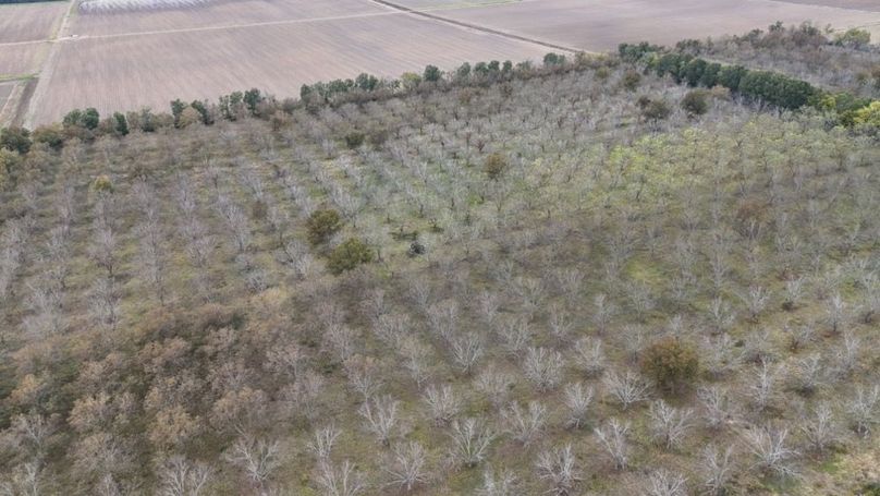 dji_fly_20251107_043048_0031_1762484041978_photo