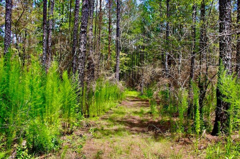 56AC1AEF-05F7-47B7-B421-106C054C8FB4_1_201_a