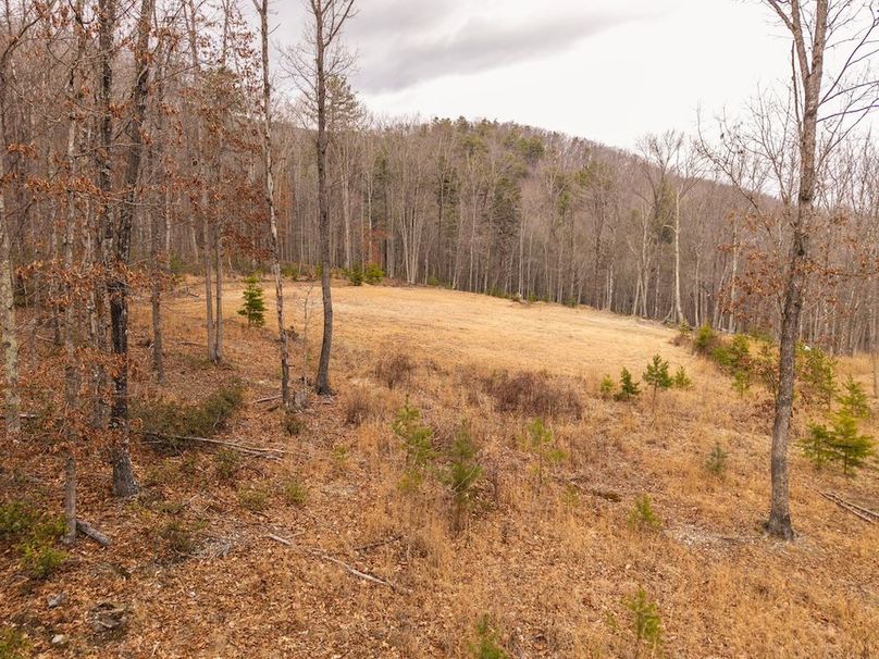 DJI_20260304155859_0023_D