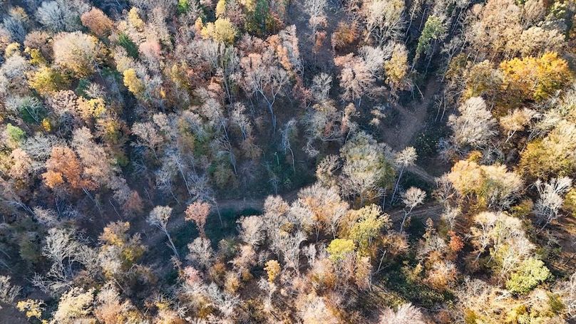 DJI_20251111155103_0058_D