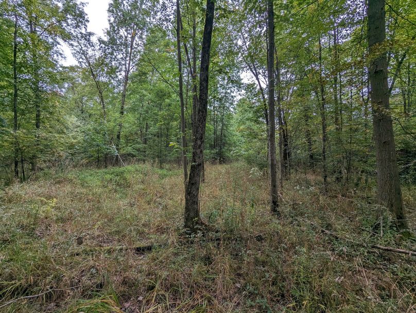 PXL_20230925_222702266