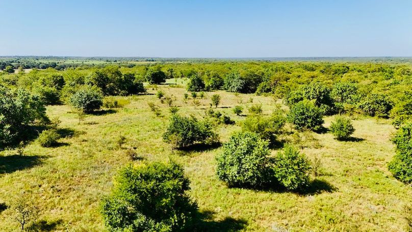 dji_fly_20250728_102222_0057_1753739686815_photo