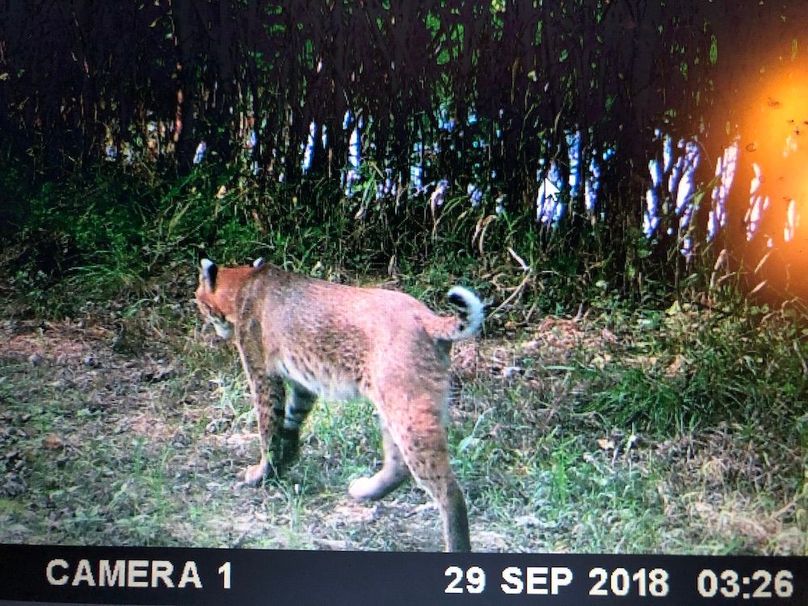 39A13D95-2A68-4B19-B8D7-EB277B7263ED