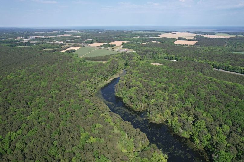 DJI_0210