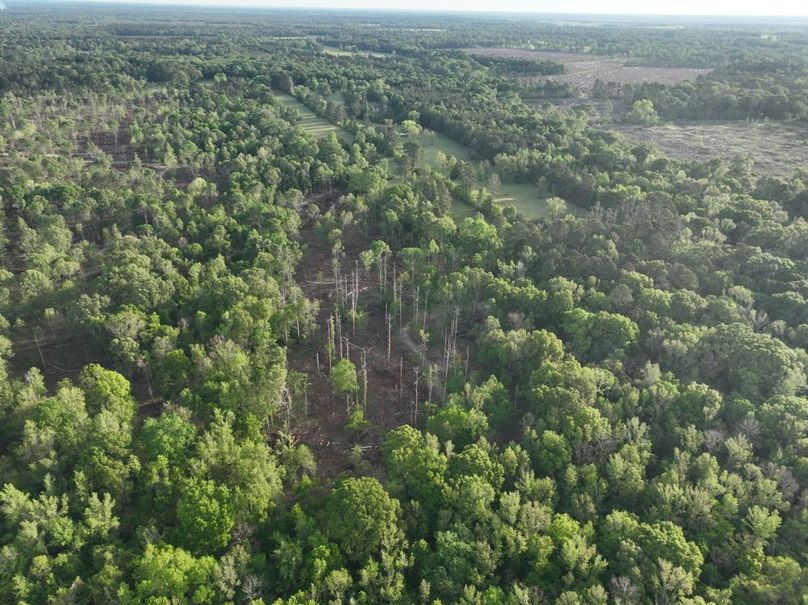 dji_fly_20260407_083458_357_1775580328876_photo