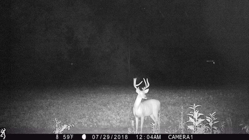 trail cam4