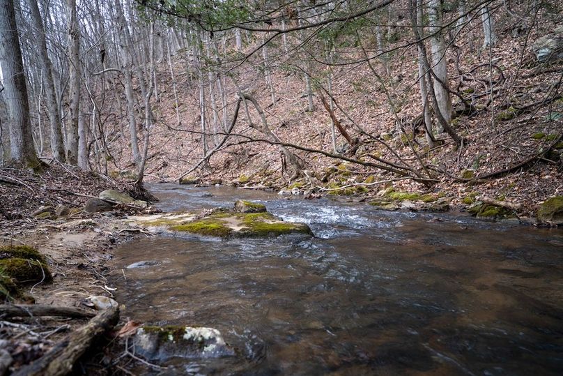 Somerset, 20, Hostetler-51