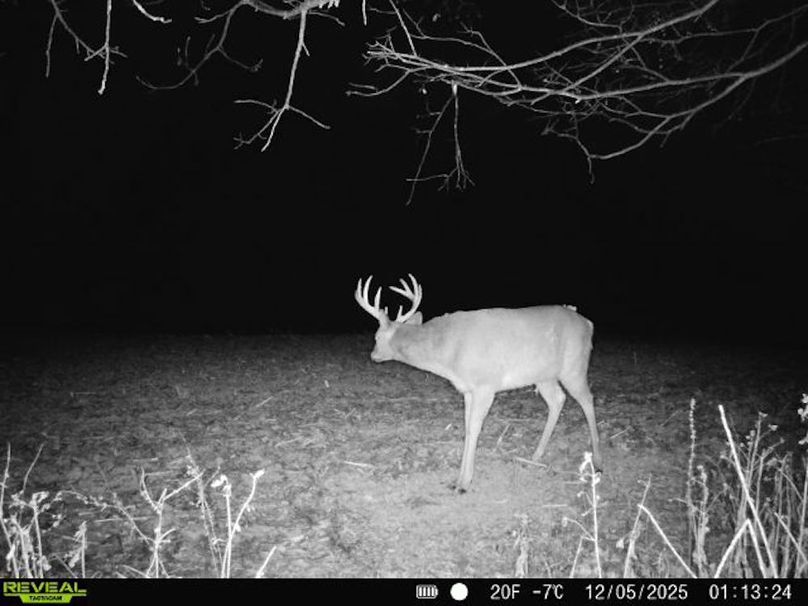 860516068095052-40-4-12052025011324-V-W1000017