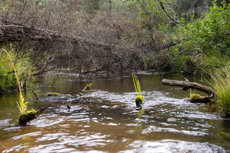 Mackinac 320 Copenhaver-66