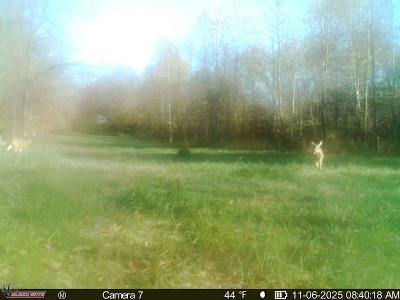 1CDEFBD5-4FE5-4B96-B5D9-61AFA3FA9C7E