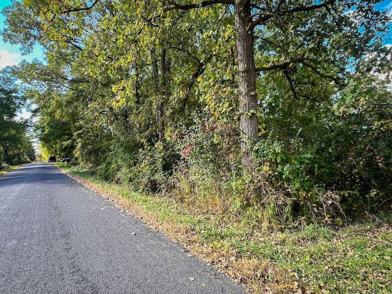 Tompkins_30.32_Hildreth_Estate_Phoros_17