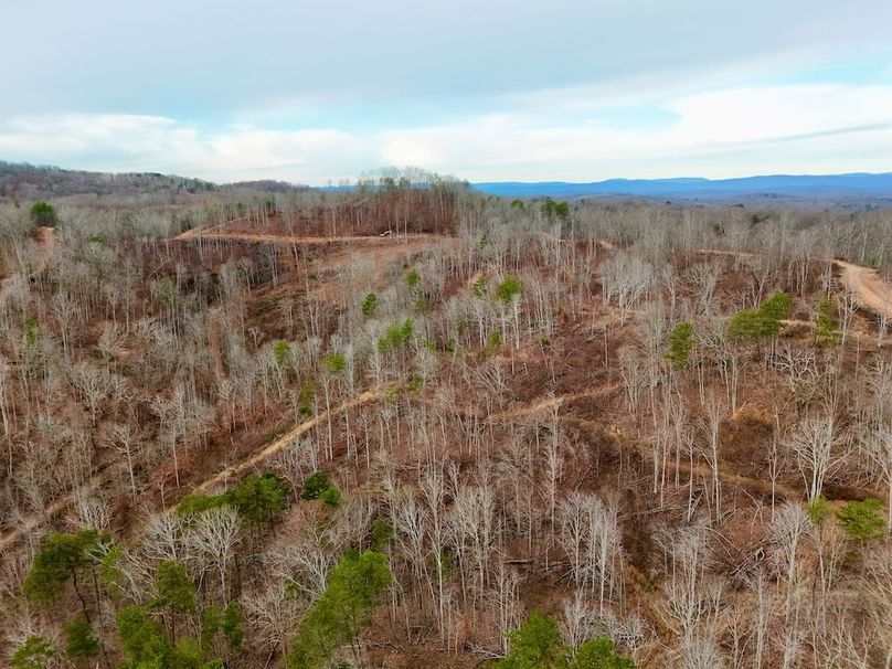 Roane Co TN 396 20251127_67