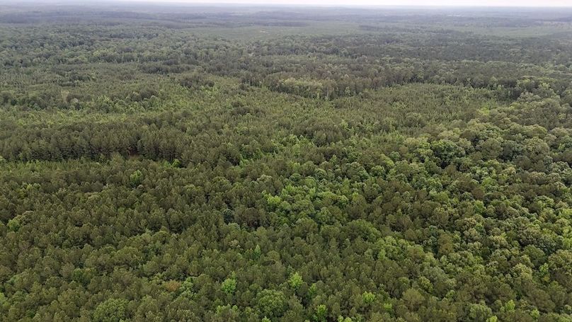 Copy of DJI_20250529223514_0534_D