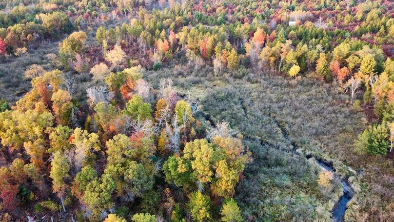 dji_fly_20241011_175128_455_1728687430794_photo_optimized 2