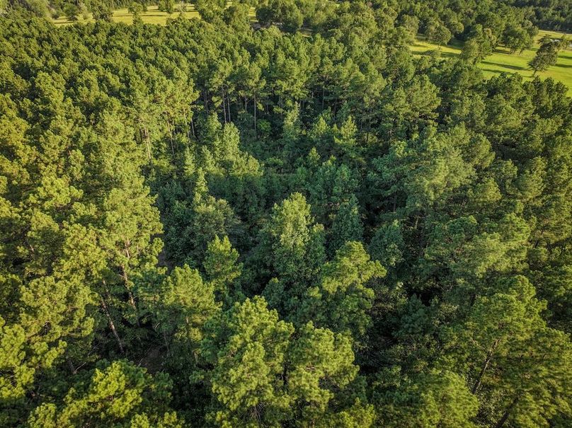 Copy of DJI_20240704190904_0036_D