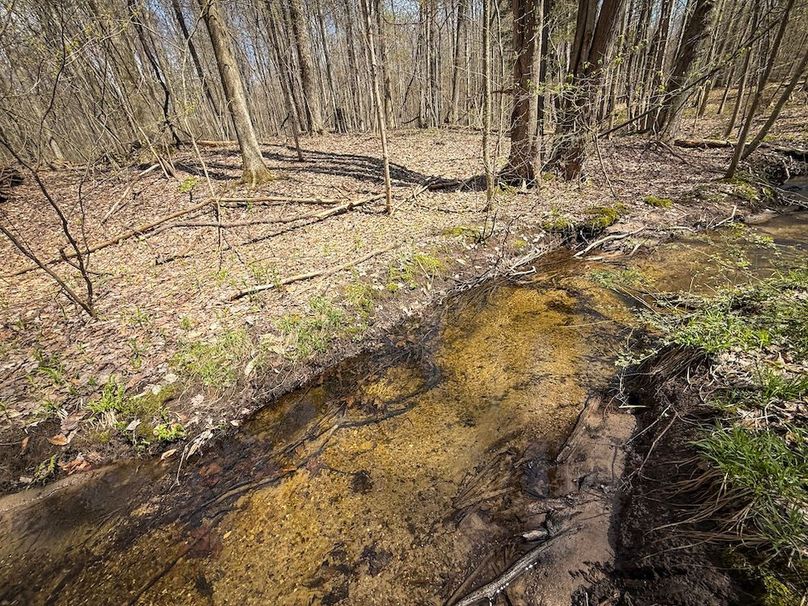 Cayuga_23.5_Demott_photos_19