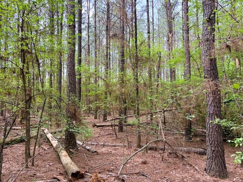 E4E0B63C-4445-4436-9C35-78932CD5AF7A_1_105_c