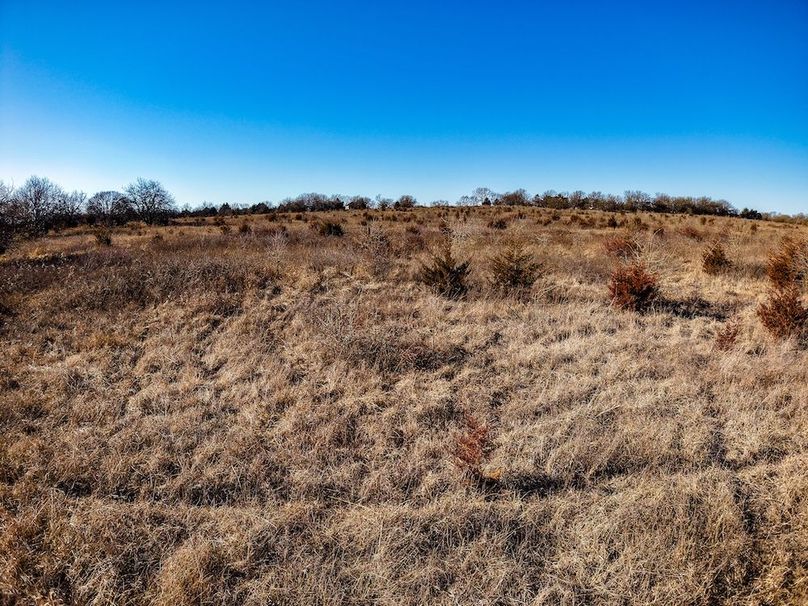 DJI_20260119145023_0839_D