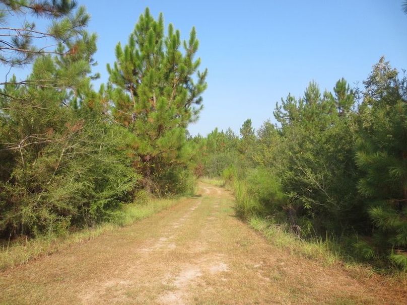 5A56FE01-4B12-49B7-9467-3FFA5B5D33BE_1_105_c