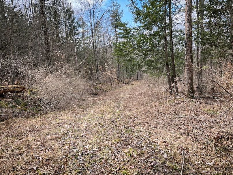 Tioga__NY_109.7_Burris_Photos_70