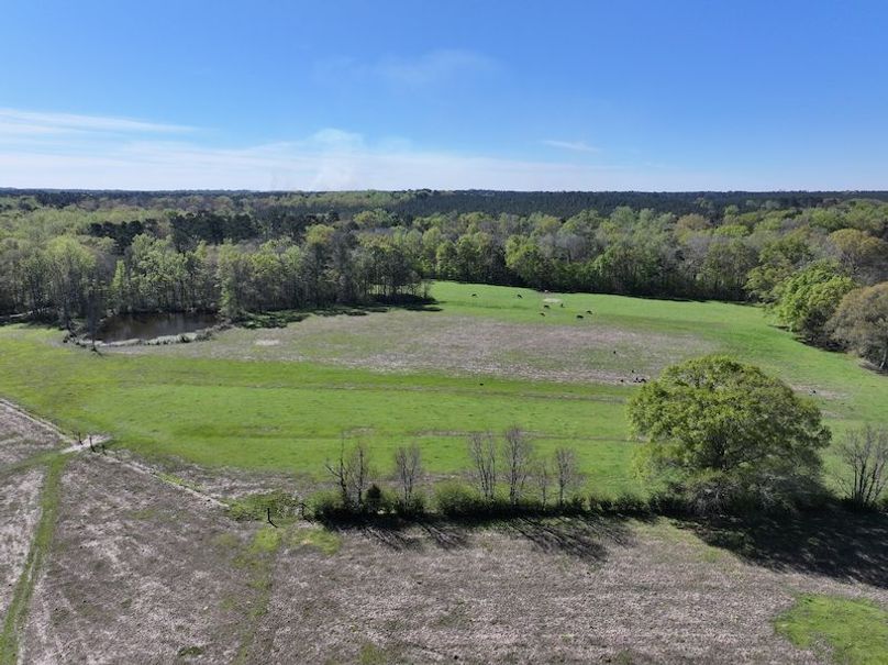 dji_fly_20260317_085156_0381_1773768885139_photo