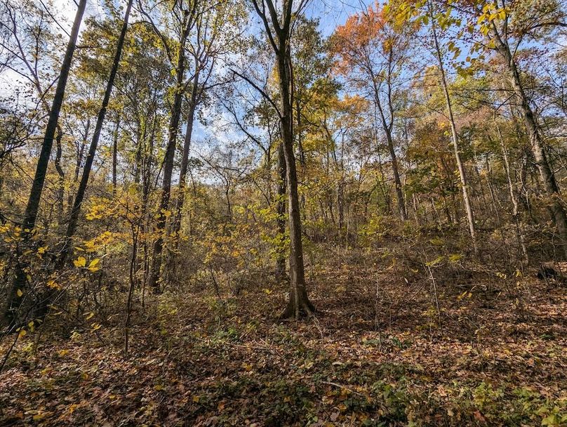 PXL_20251101_183034458