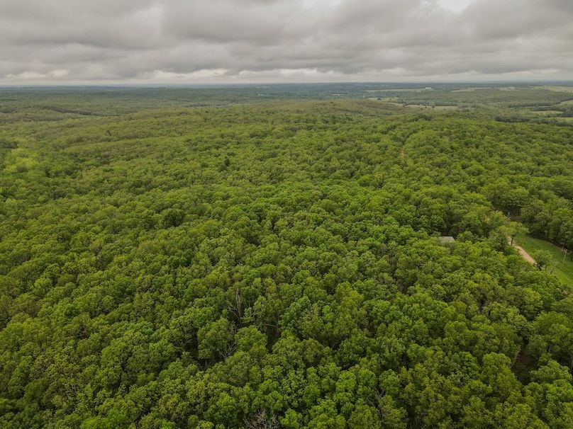 dji_fly_20260519_172658_473_1779229631923_photo