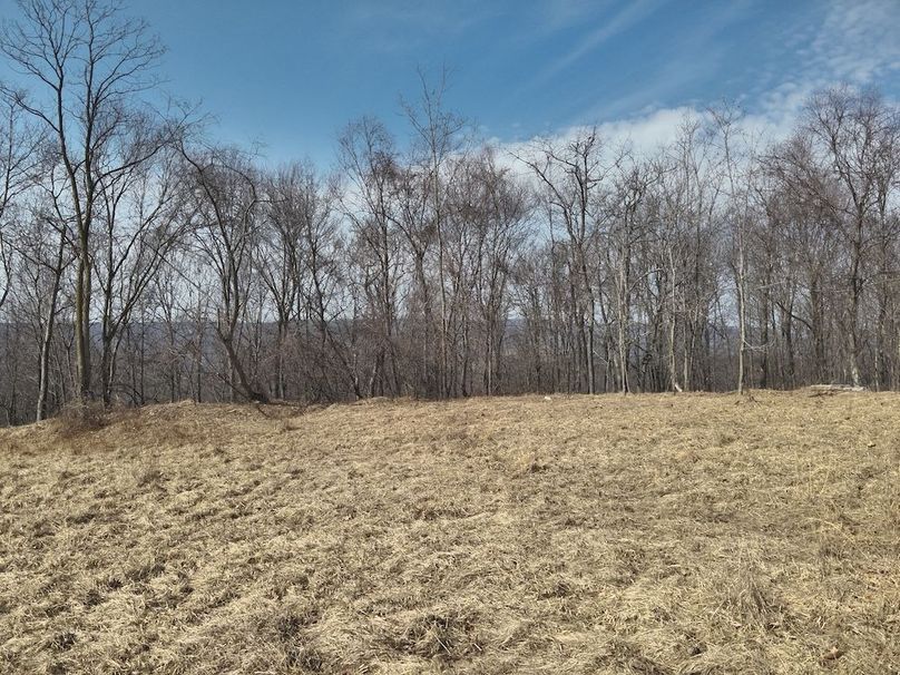 DJI_20250304115544_0037_V