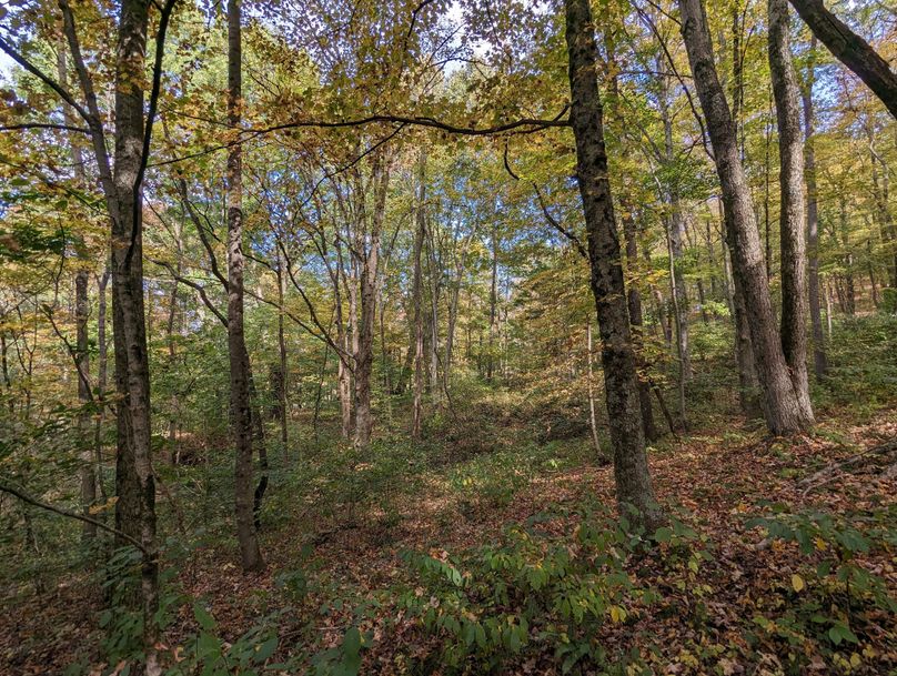 PXL_20231004_191356719