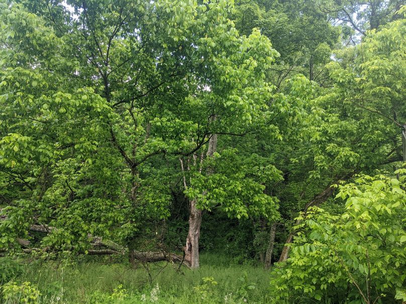 PXL_20230530_213349610