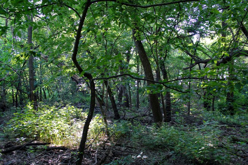 Ottawa, KS, 8.95_028