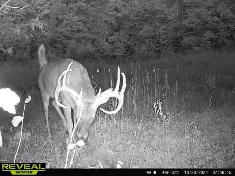 70F66190-27D8-4263-B216-99D8CAA93C5E