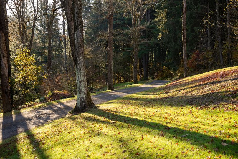 Elk PA 7000 Feature_Pro Photo-90