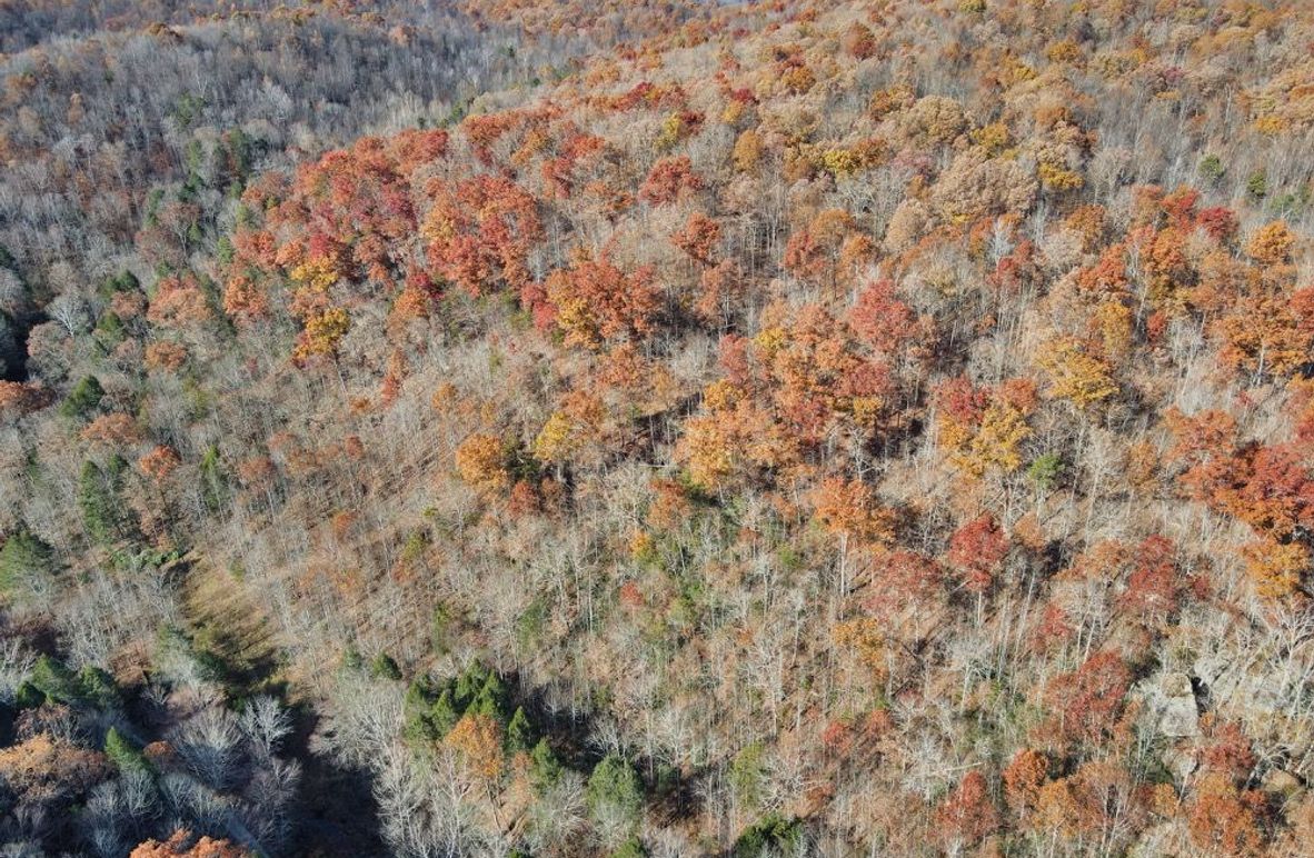 004 aerial view from above the creek looking West over the property-2