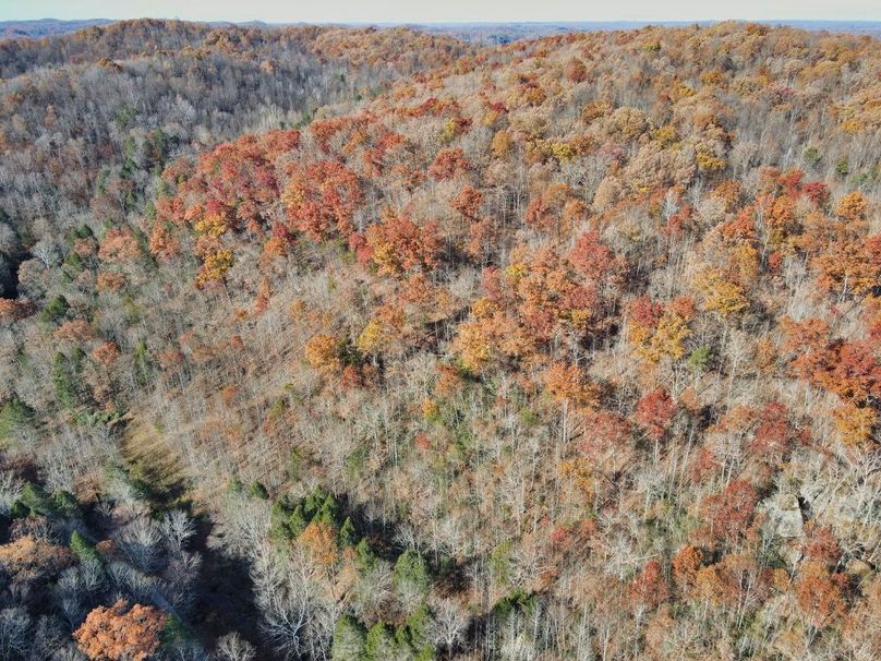 004 aerial view from above the creek looking West over the property-2