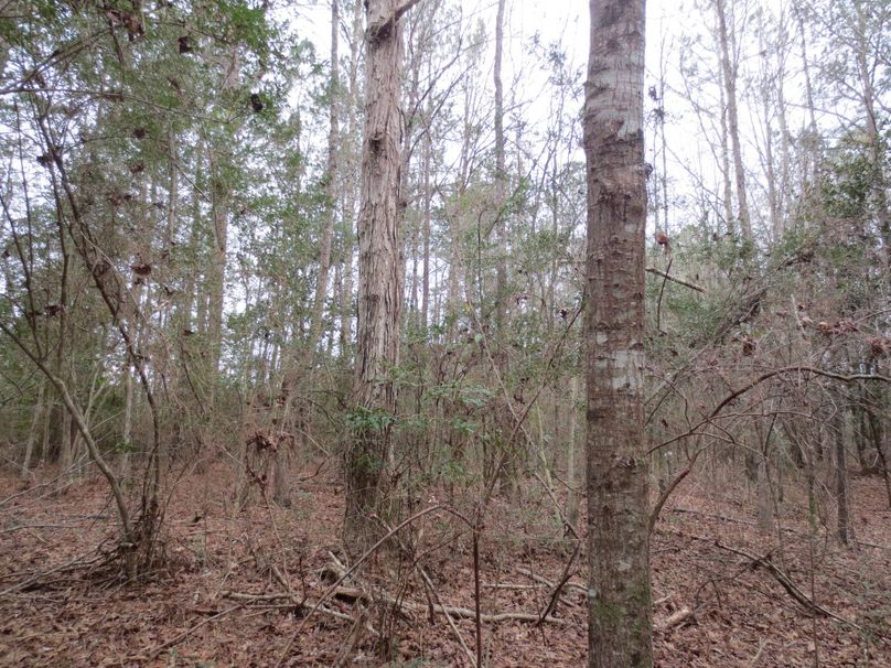 11EB9C76-6656-4BF0-A3A6-BE0E2F8BEE9E