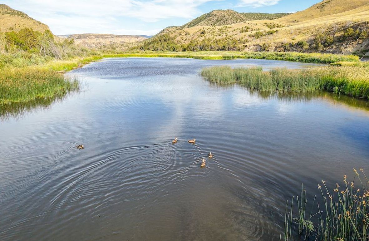 2. 20250728-DJI_20250728183746_0045_D