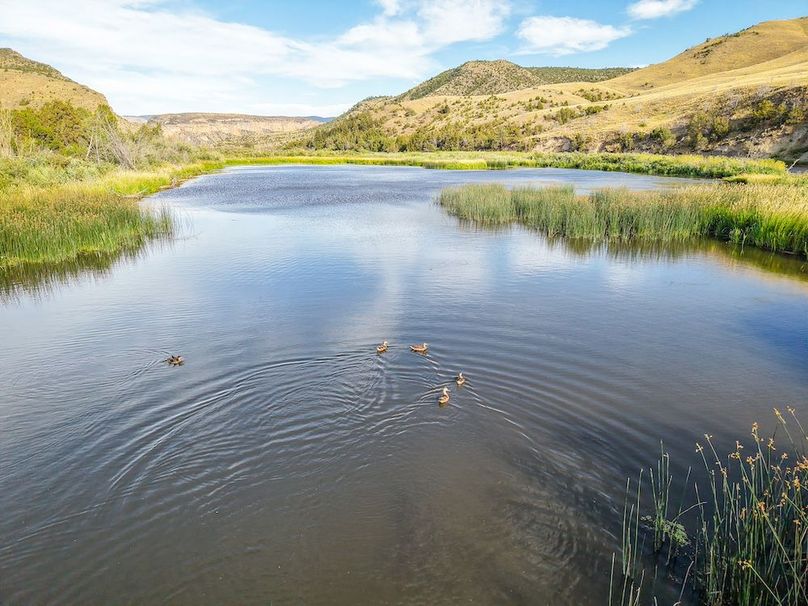 2. 20250728-DJI_20250728183746_0045_D