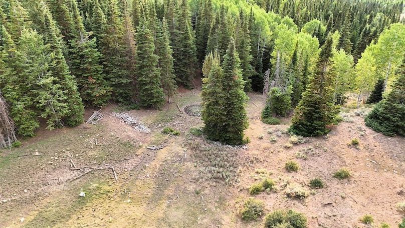 DJI_20250726183839_0218_D