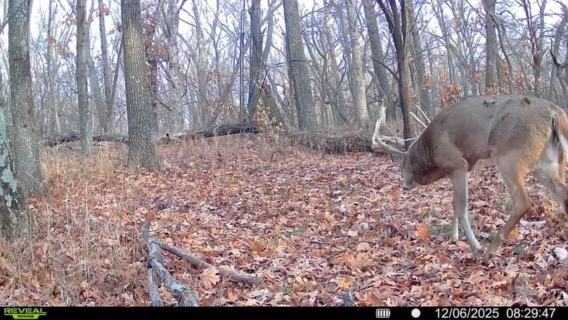 016579009196135-100-2-12062025082947-SYFW01593