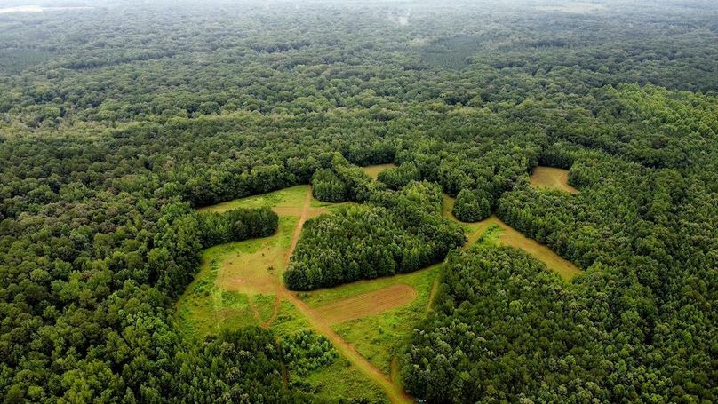 dji_fly_20250802_100054_556_1754143261714_photo_optimized